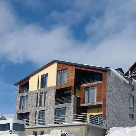 Dandelion Hotel Gudauri Ganisi Bagian luar foto