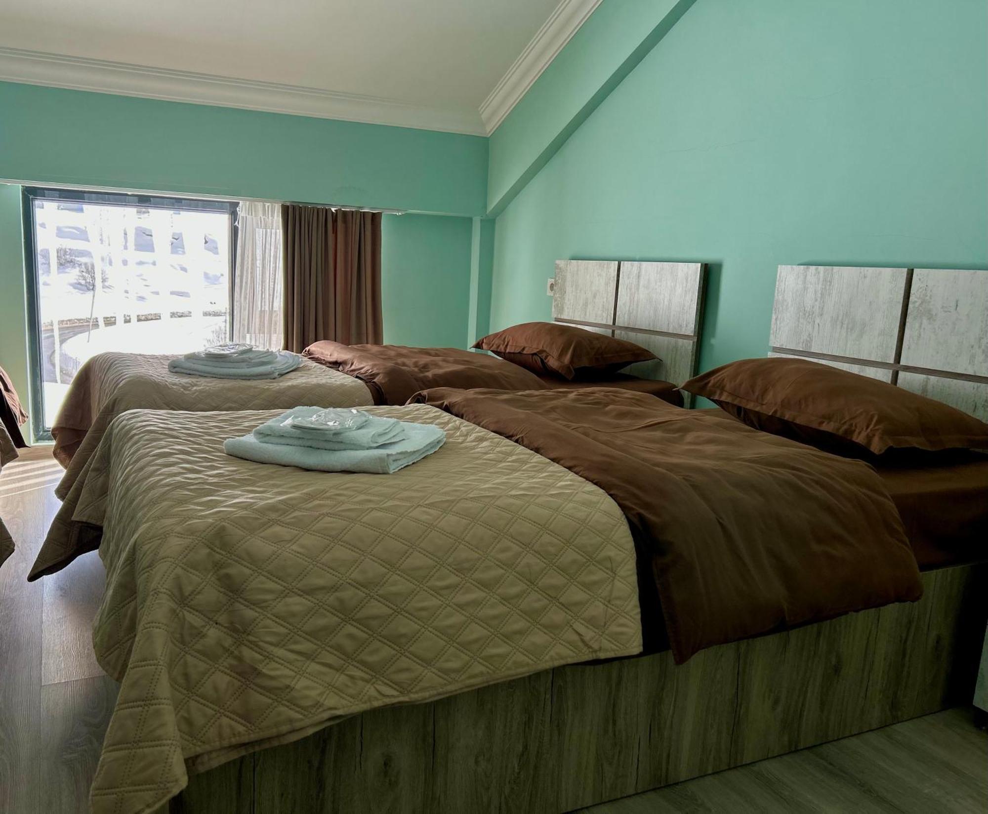 Dandelion Hotel Gudauri Ganisi Bagian luar foto